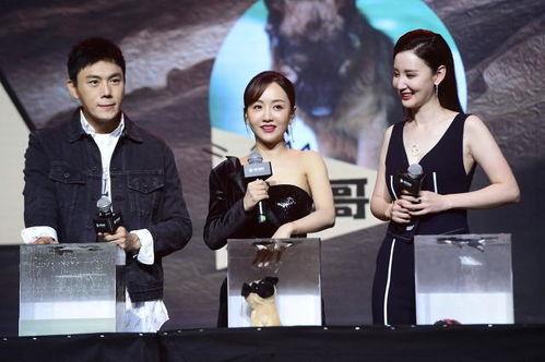 娱乐圈吃瓜大全爆料